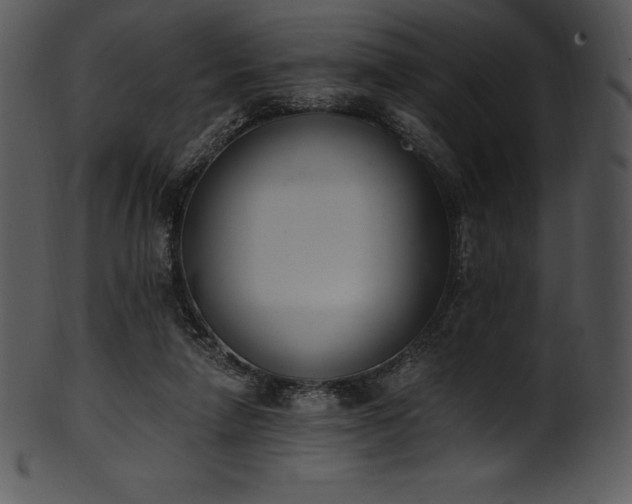 X0000101460258200807141313