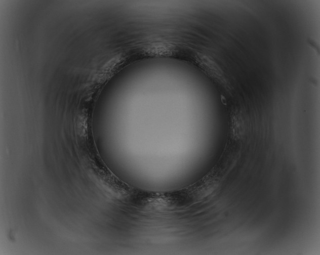 X0000101460259200807141313