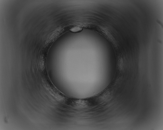 X0000101460261200807141313