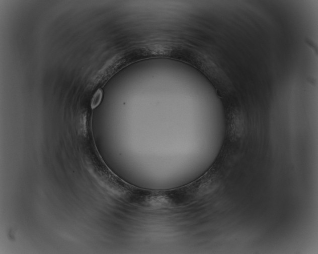 X0000101460262200807141313