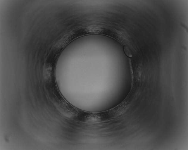 X0000101460263200807141313