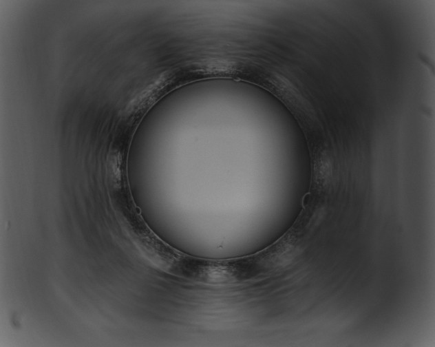 X0000101460264200807141313