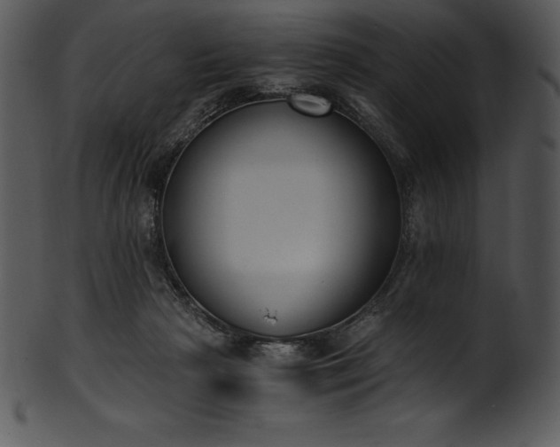 X0000101460265200807141313