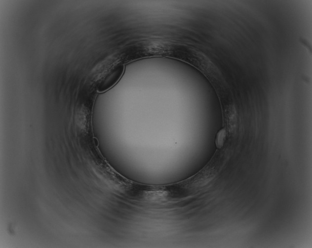 X0000101460266200807141313