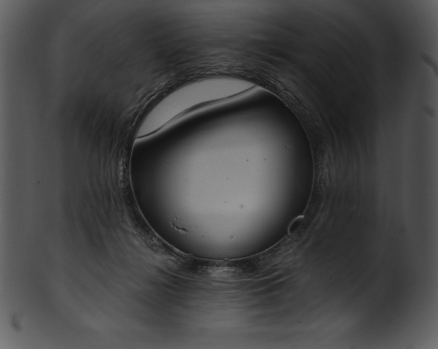 X0000101460268200807141313