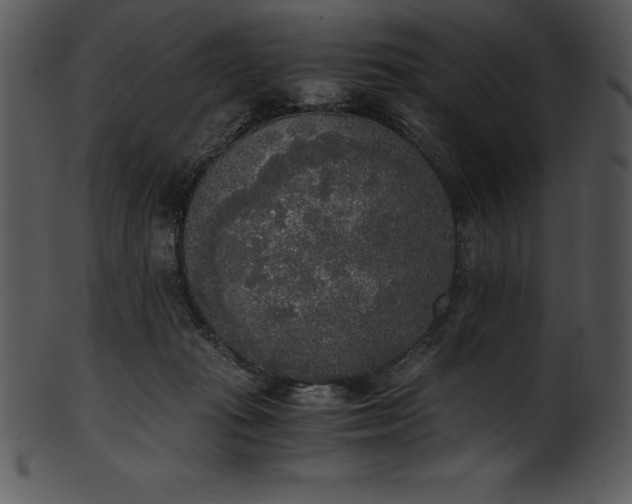 X0000101460269200807141313