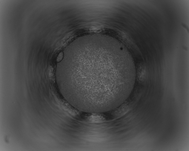 X0000101460270200807141313