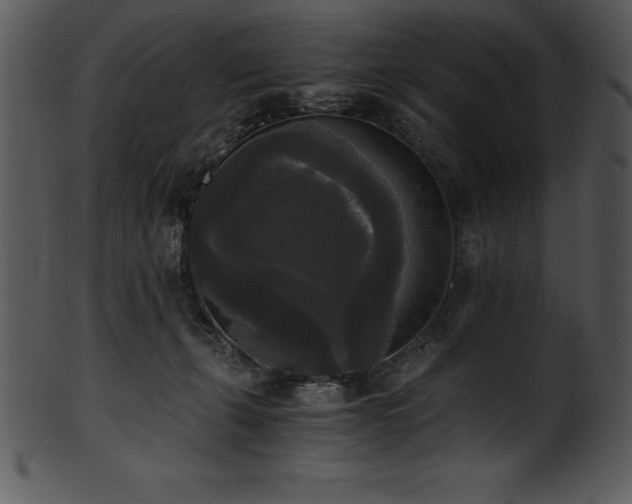 X0000101460271200807141313