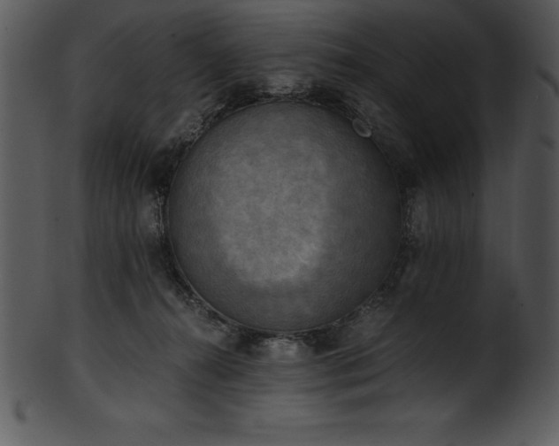 X0000101460272200807141313