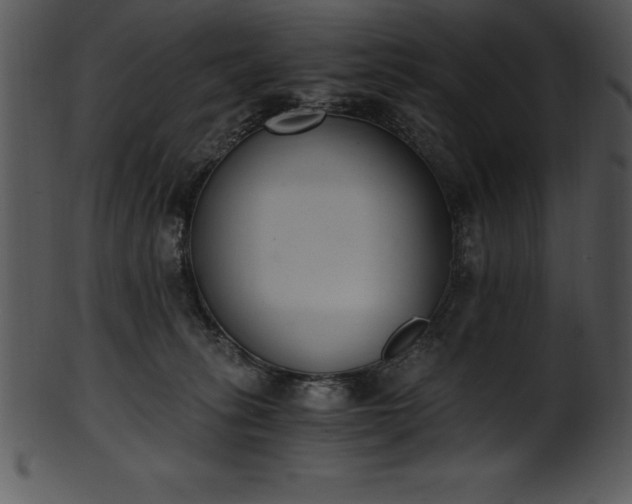 X0000101460275200807141313