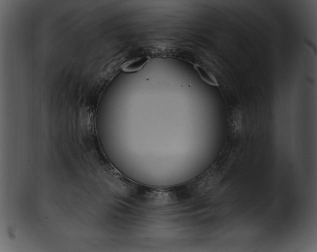 X0000101460276200807141313