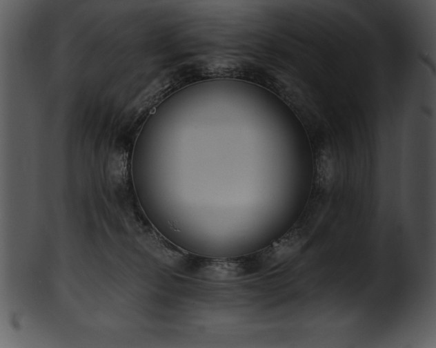 X0000101460278200807141313