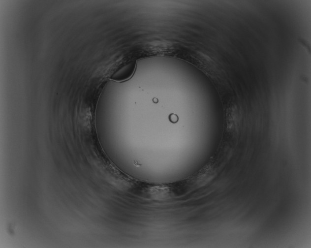 X0000101460279200807141314