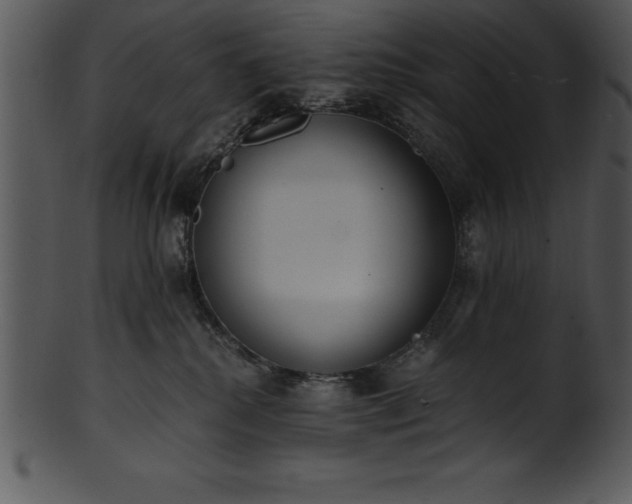 X0000101460280200807141314