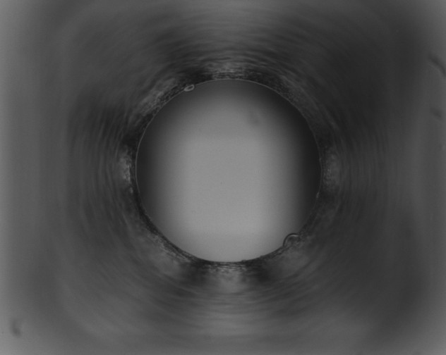 X0000101460282200807141314