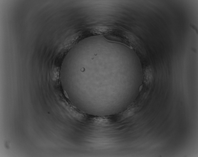 X0000101460284200807141314