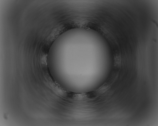X0000101460286200807141314