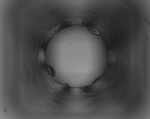 X0000101460287200807141314