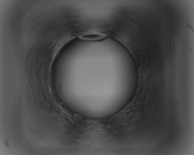 X0000101460289200807141313