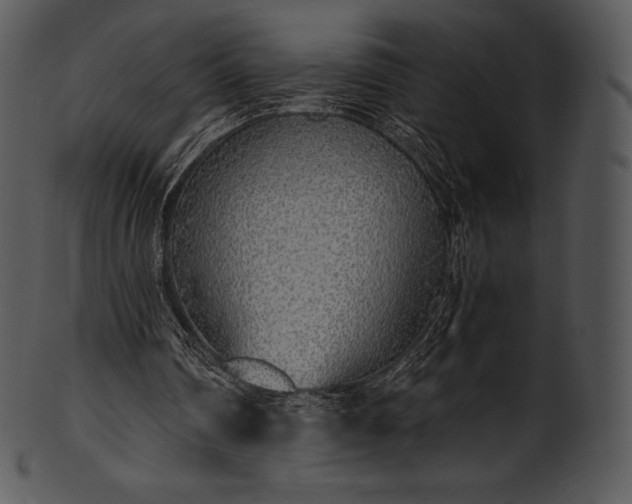 X0000101460290200807141313