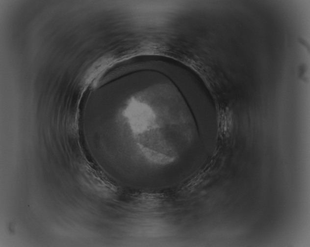 X0000101460292200807141313