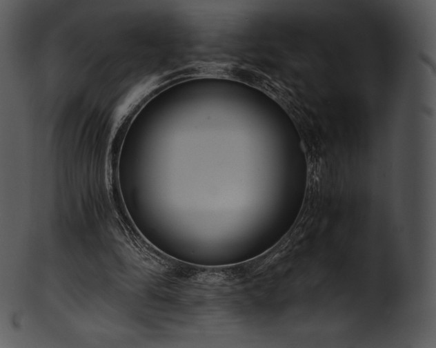X0000101460294200807141313