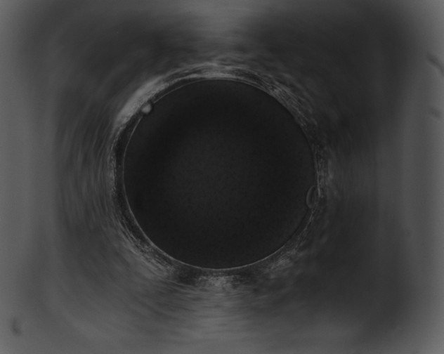 X0000101460295200807141313