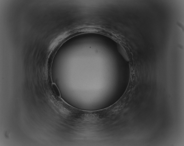 X0000101460296200807141313
