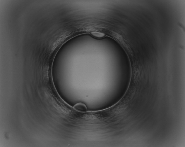 X0000101460299200807141313