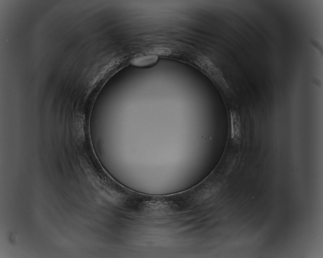 X0000101460300200807141313