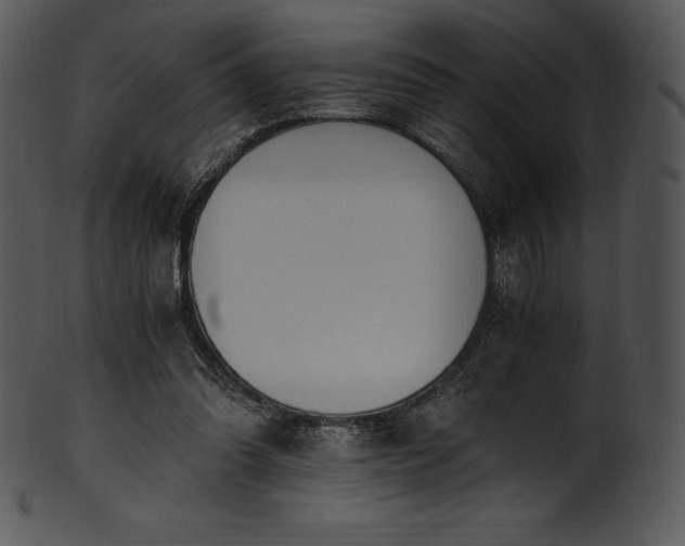 X0000101460302200807141313