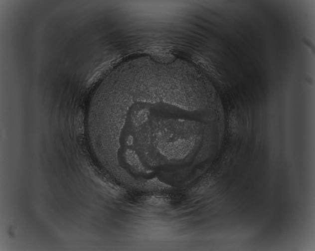 X0000101460303200807141313