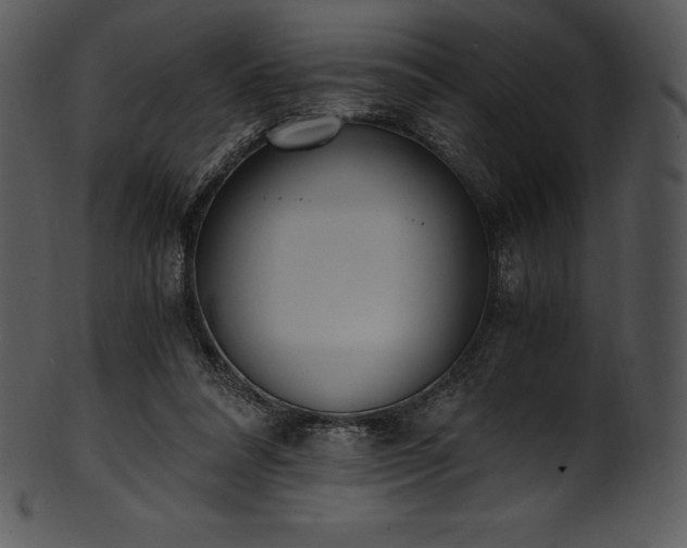 X0000101460304200807141313