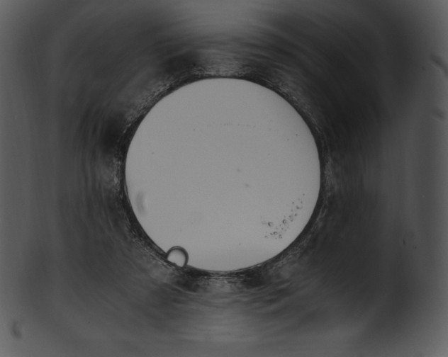 X0000101460305200807141313