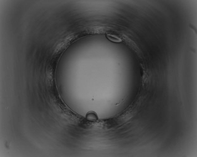 X0000101460306200807141313