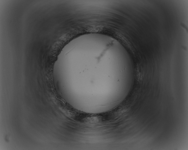 X0000101460307200807141313