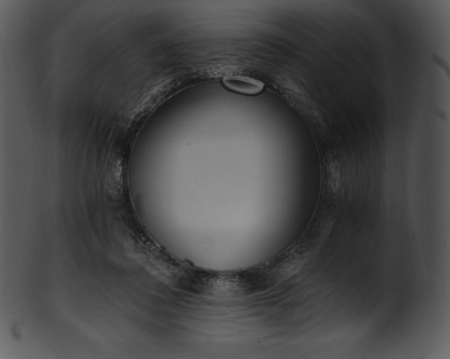 X0000101460308200807141313