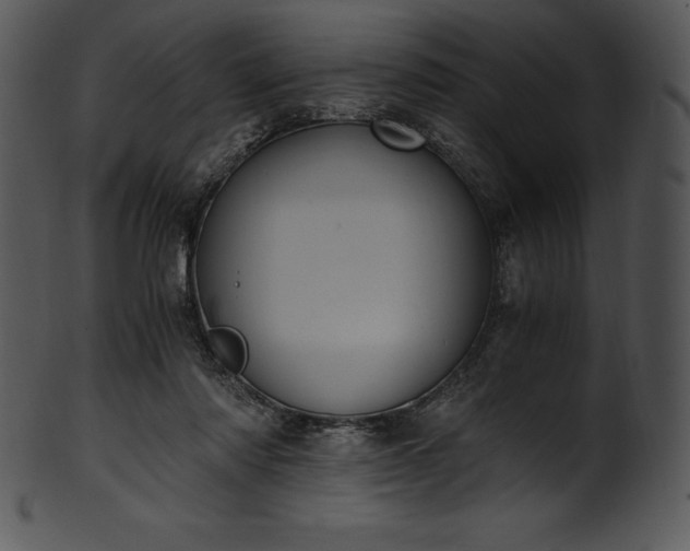 X0000101460310200807141313