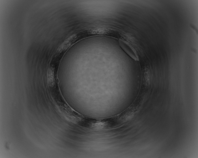 X0000101460312200807141313