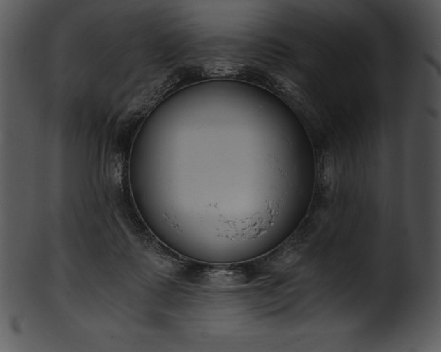 X0000101460315200807141313