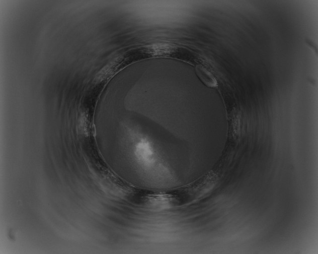 X0000101460316200807141313