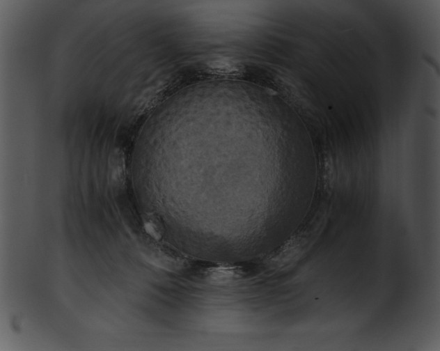 X0000101460320200807141313