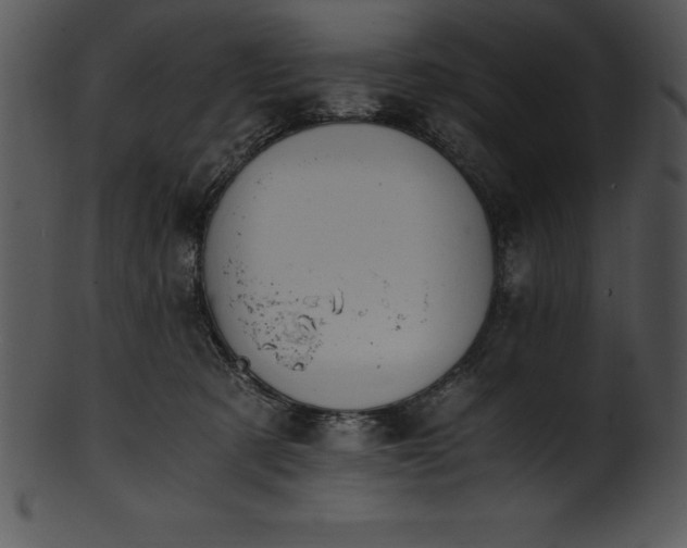 X0000101460321200807141312