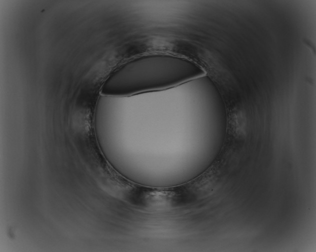 X0000101460323200807141312