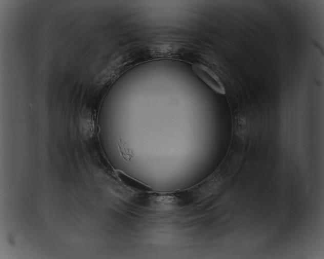 X0000101460324200807141312