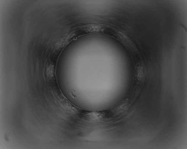 X0000101460326200807141312