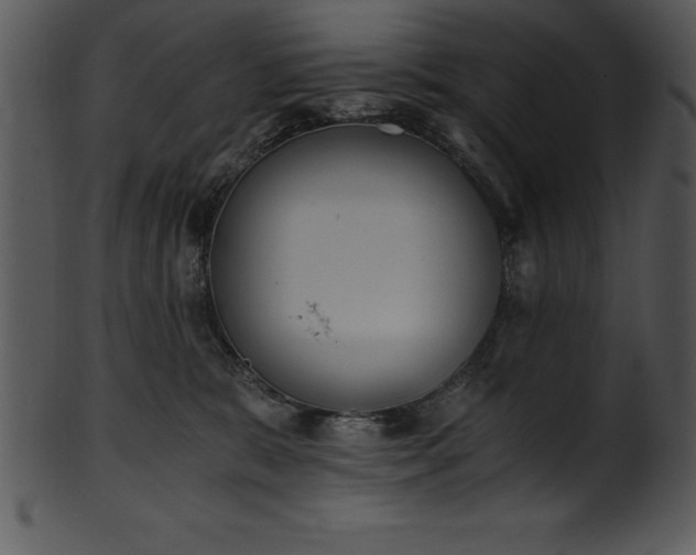 X0000101460327200807141312