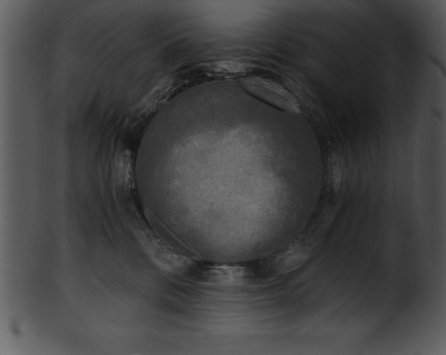 X0000101460328200807141312