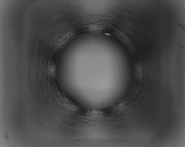 X0000101460329200807141312
