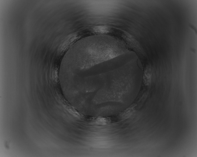 X0000101460330200807141312